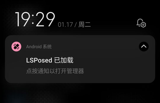 进入 LSPosed